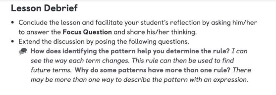 example of lesson debrief in primary mathematics 2022