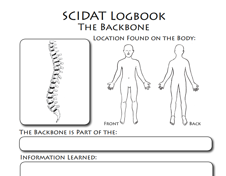 screenshot of sassafras science scidat logbook for anatomy