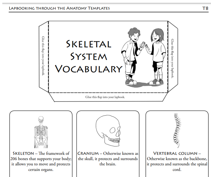 screenshot of sassafras lapbook vocabulary work