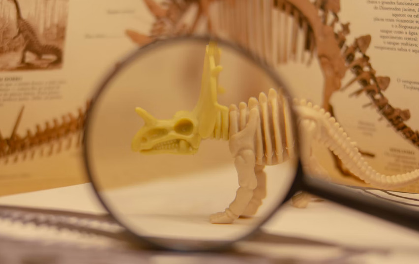 picture showing an assembled dinosaur from a paleontology kit for kids
