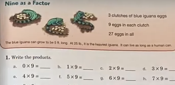 picture of abeka math books showing them to be in color