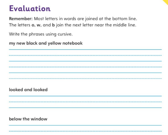 screenshot of evaluation in dnealian handwriting