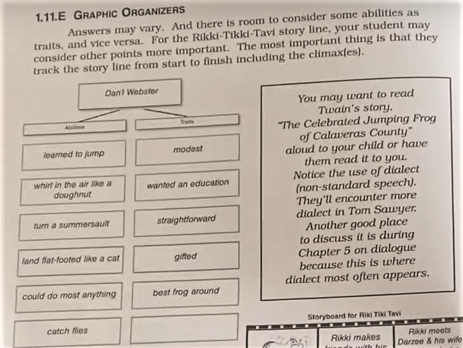 example of graphic organizer work in lightning literature