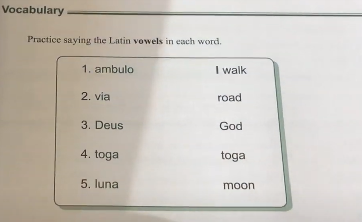 picture of classical education curriculum teaching latin as part of language study
