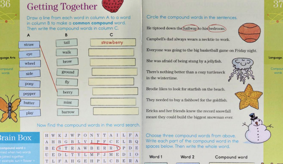 picture of 3rd grade brain quest workbook exercises