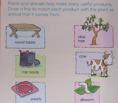 picture of workbook style exercise found in brain quest workbooks