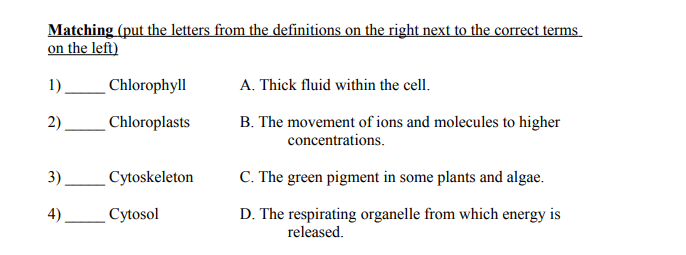 screenshot example of matching workbook exercise found in lyrical life science
