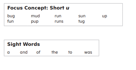 screenshot of phonetic elements and rules found on the inside of primary phonics storybook